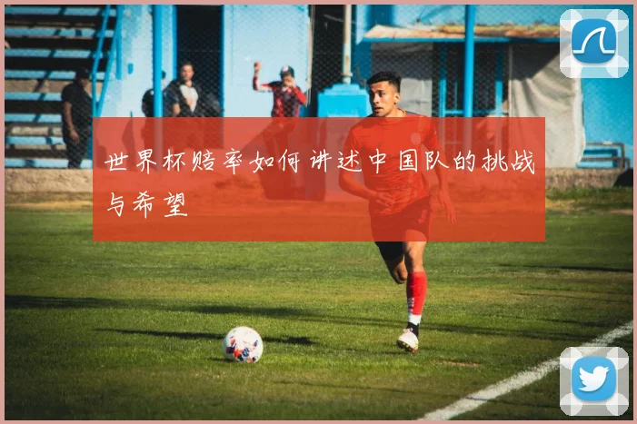 世界杯赔率如何讲述中国队的挑战与希望